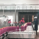Complete Tomato Paste Processing Equipment Machine Tomato Paste production plant