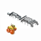 Factory Juice Making Machine Apple Processing Line For Apple / Pear Juice ISO9001
