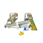 Industrial Automatic Mango Jam Making Machine For Fruit Processing
