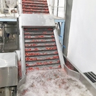 ISO Automatic Fruit Processing Equipment Industrial Blueberry Washing Machine