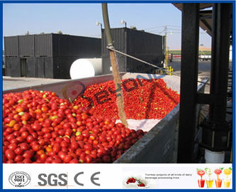 Low Temperature Evaporation Tomato Processing Line for Turn Key Projects