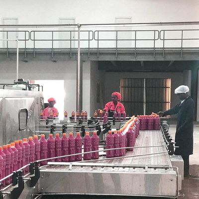 टमाटर का पेस्ट बनाने के लिए SUS304 स्वचालित टमाटर प्रसंस्करण लाइन